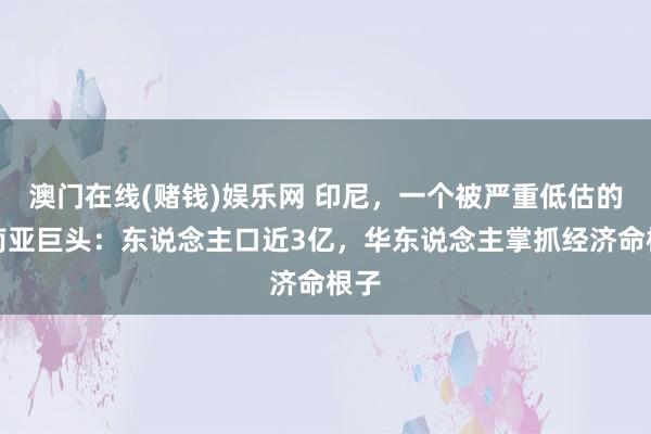 澳门在线(赌钱)娱乐网 印尼，一个被严重低估的东南亚巨头：东说念主口近3亿，华东说念主掌抓经济命根子