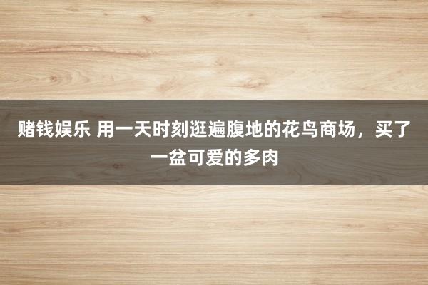 赌钱娱乐 用一天时刻逛遍腹地的花鸟商场，买了一盆可爱的多肉