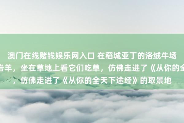 澳门在线赌钱娱乐网入口 在稻城亚丁的洛绒牛场，偶遇了一群野生的岩羊，坐在草地上看它们吃草，仿佛走进了《从你的全天下途经》的取景地