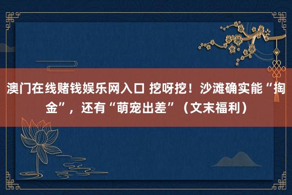 澳门在线赌钱娱乐网入口 挖呀挖！沙滩确实能“掏金”，还有“萌宠出差”（文末福利）