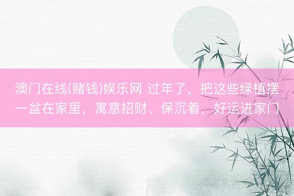 澳门在线(赌钱)娱乐网 过年了，把这些绿植摆一盆在家里，寓意招财、保沉着，好运进家门
