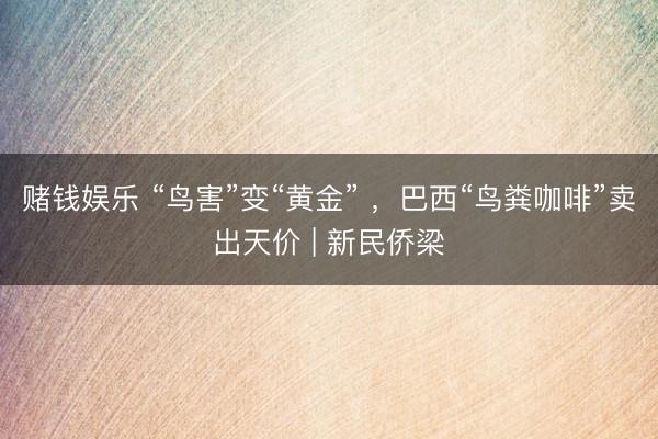 赌钱娱乐 “鸟害”变“黄金” ，巴西“鸟粪咖啡”卖出天价 | 新民侨梁